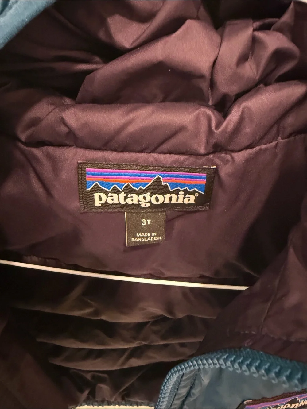 Patagonia Teal Puffer Jacket - 3T